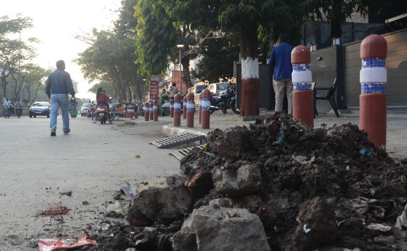 Mosquitoes thrive on buffalo dairy dung every day