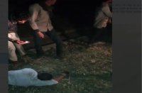 road accident at shajapur