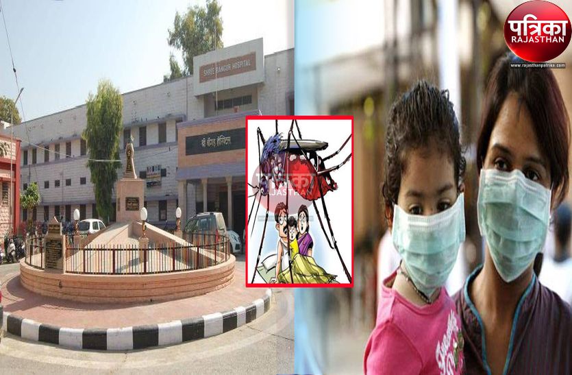 डेंगू के बाद अब स्वाइन फ्लू का सता रहा डर