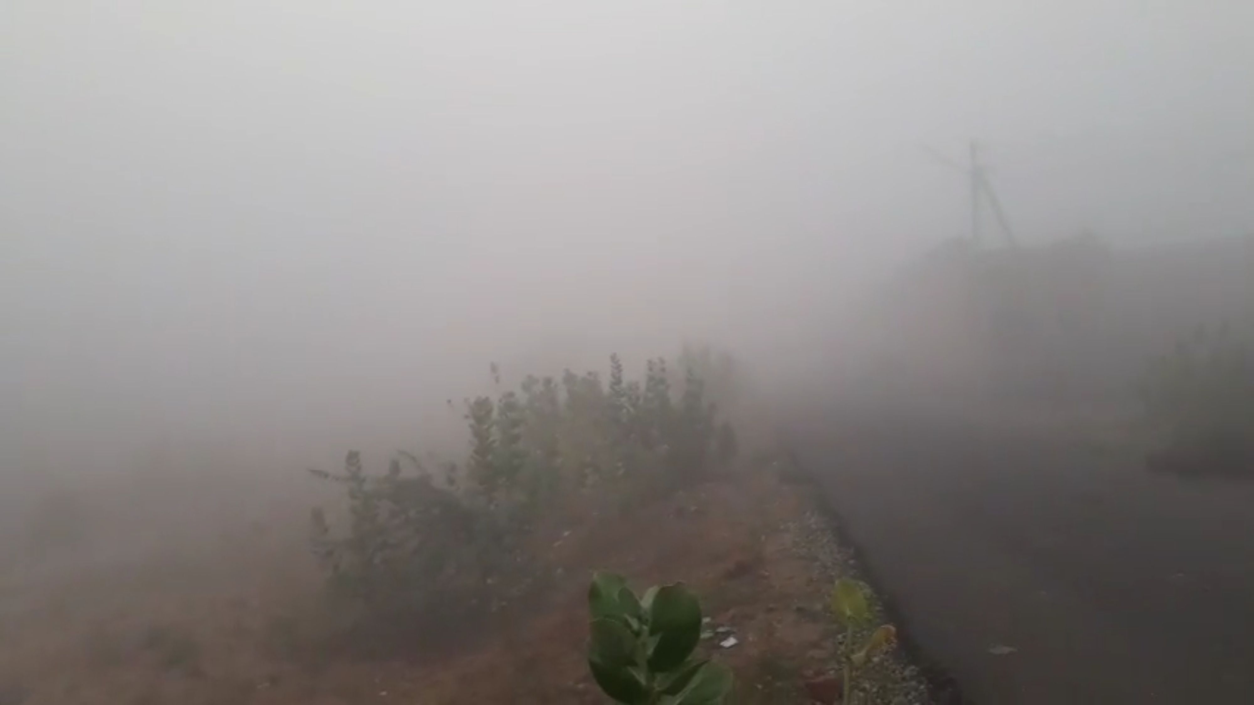 सर्दी का पहला कोहरा