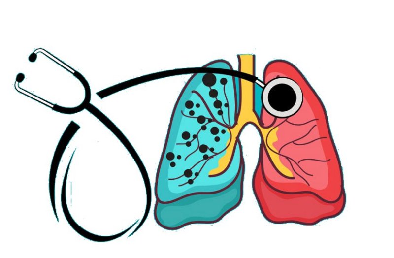 बस्तर संभाग में हर चौथे व्यक्ति में है इस बीमारी के बैक्टीरिया, पांच साल में 733 लोगों की जा चुकी है जान