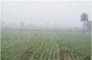  Bhilwara in fog, people wrapped in warm clothes