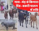 Rajsamand,Rajsamand local news,rajsamand latest news,rajsamand latest hindi news,rajsamand latest hindi news rajsamand,Latest News rajsamand,Latest hindi news rajsamand,Crime News rajsamand,