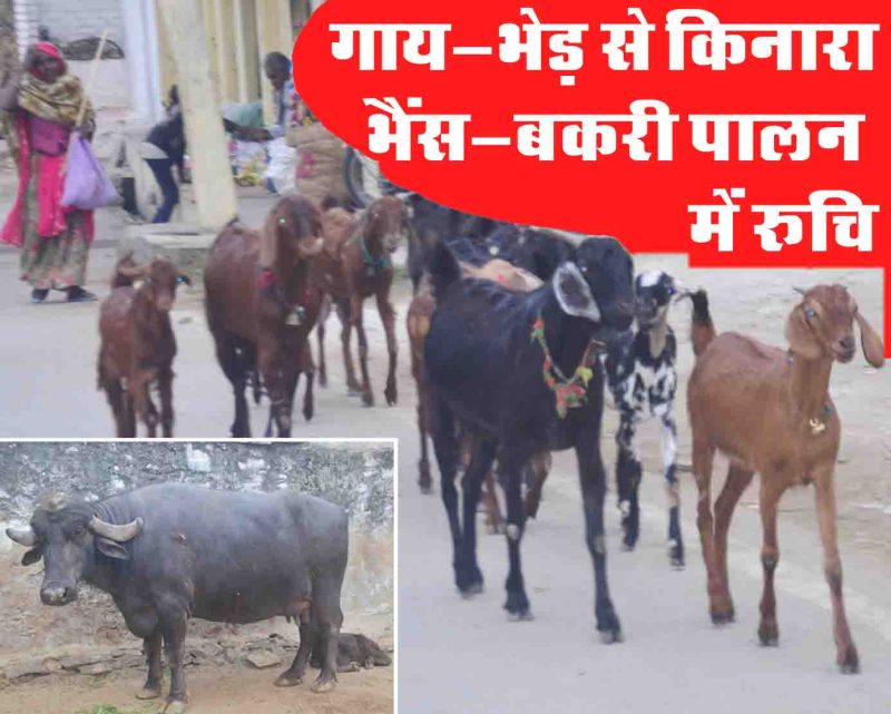 Rajsamand,Rajsamand local news,rajsamand latest news,rajsamand latest hindi news,rajsamand latest hindi news rajsamand,Latest News rajsamand,Latest hindi news rajsamand,Crime News rajsamand,