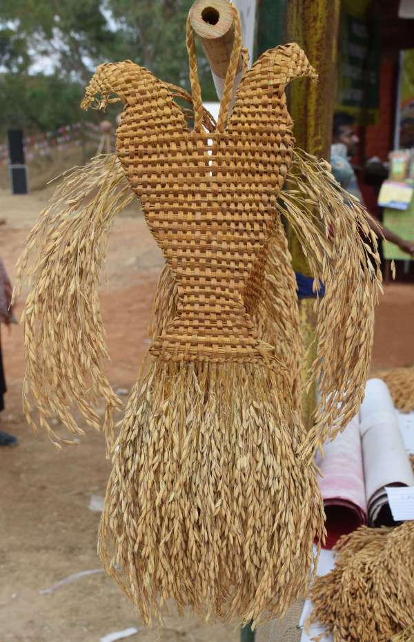 shilpgram Organic mahotsav