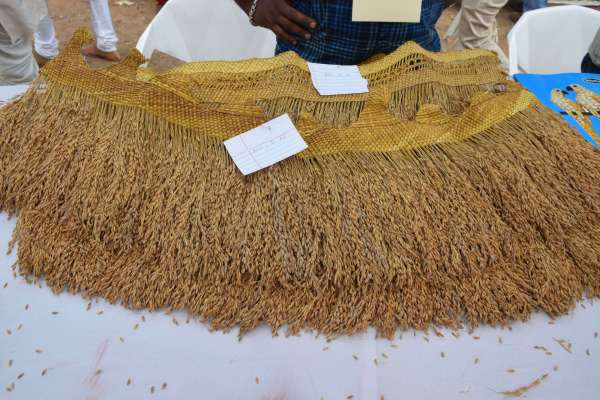 shilpgram Organic mahotsav