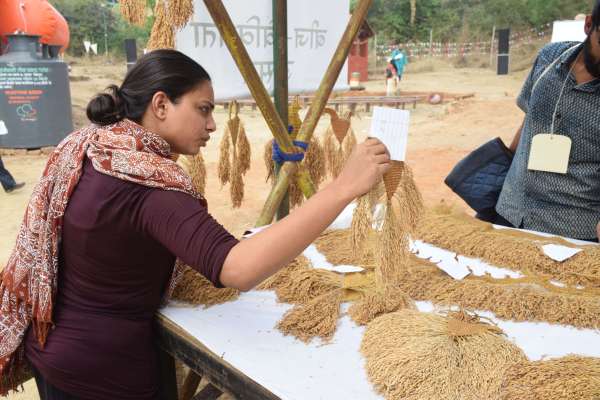 shilpgram Organic mahotsav