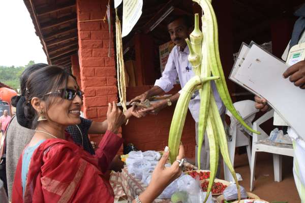 shilpgram Organic mahotsav
