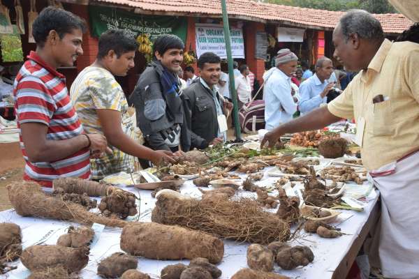 shilpgram Organic mahotsav