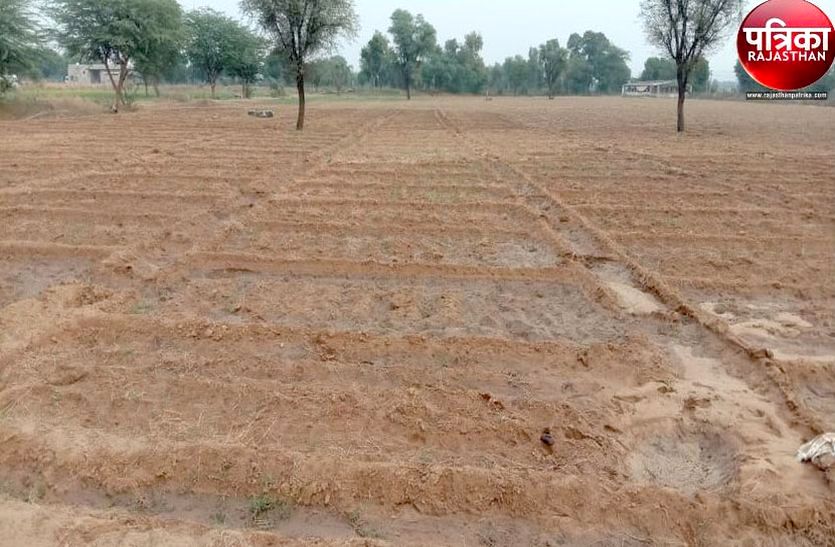 रबी की बुवाई में जुटे किसान, जीरे से बनाई दूरी