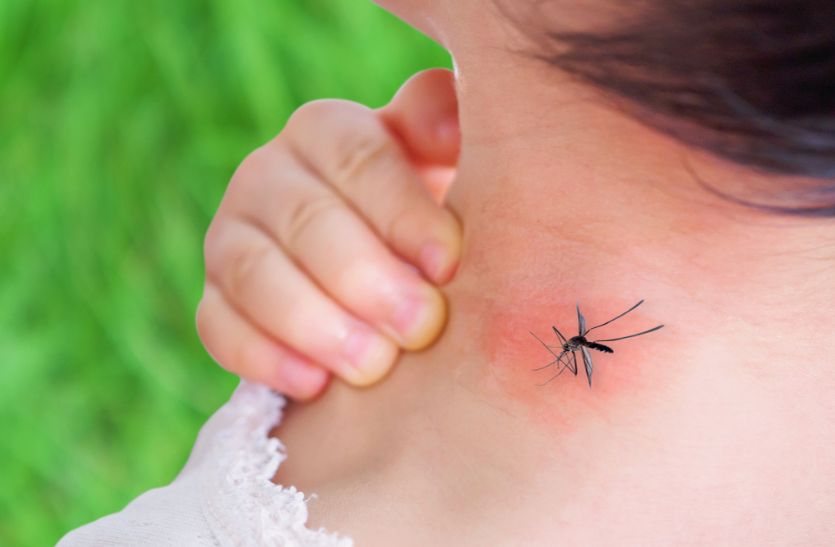 बच्चे को पहले हो चुका है डेंगू तो दूसरी बार बढ़ सकती है दिक्कत, सावधानी बरतें