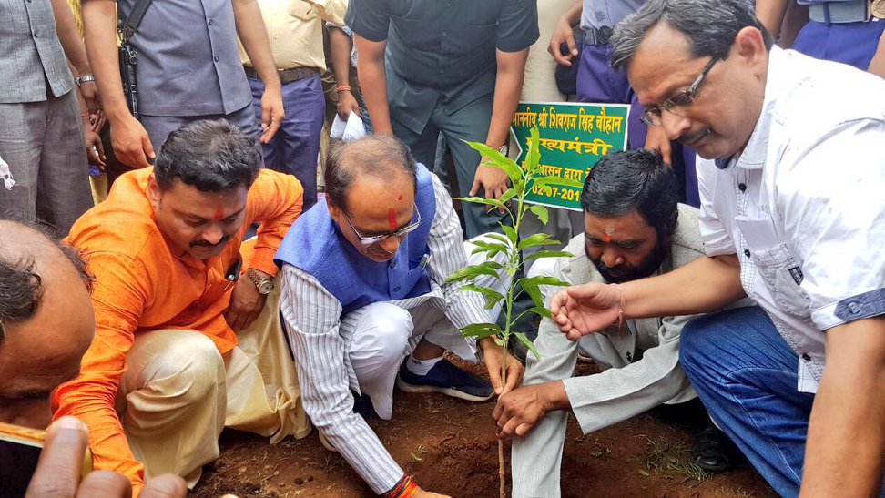सत्ता बदलने के बाद अब नर्मदा किनारे 'शिव' राज में लगाए गए पौधों को होगा सत्यापन