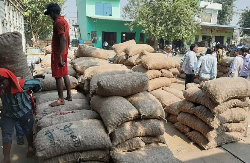 अलवर को इस बार रास आया प्याज, एक लाख किसानों के घर में आई खुशहाली