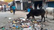 गली-मोहल्लों में गंदगी का अंबार, बस स्टैण्ड पर कचरे की भरमार
