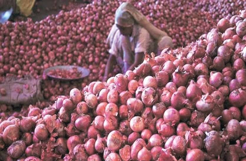 today onion rate in madhya pradesh