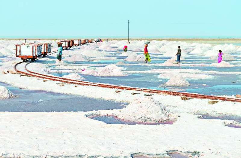 बैलगाडिय़ों से रूस और अरब तक जाता था सांभर का नमक