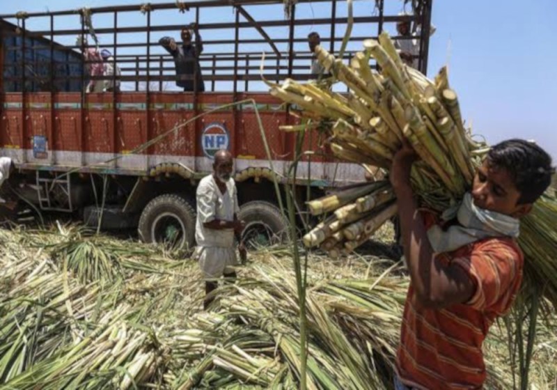 Sugarcane Weighing Center