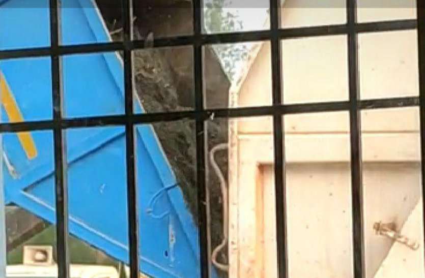 MSW Company Katni exposes arbitrary