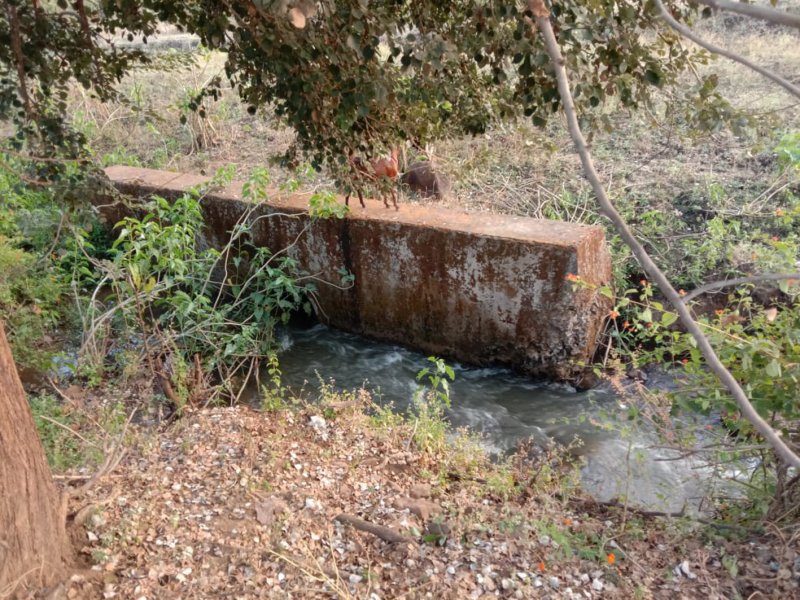 Disputes between the trust's officer and the school staff