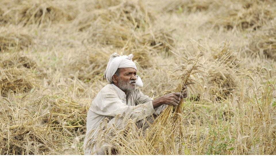 Farmer Loan :  राजस्थान की माफी योजना का अध्ययन करेगा महाराष्ट्र
