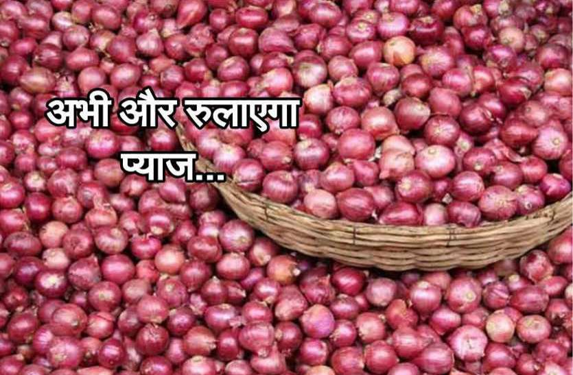 today onion rate in madhya pradesh