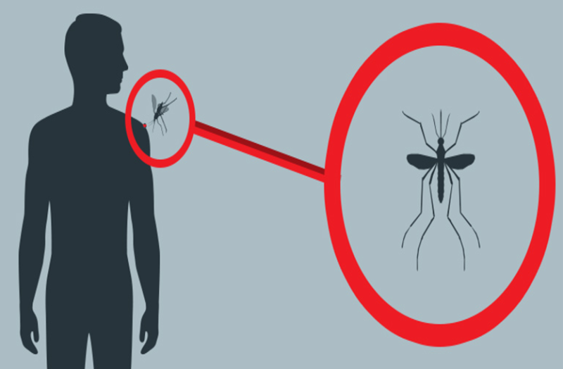 ठीक होने के बाद भी रहता है जीका का असर, जानें ये खास बातें