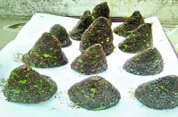 ये है मच्छर बम, इसे सुलगाते ही मच्छरों का काम तमाम, आप भी बनाएं और मच्छरों के आतंक से छुटकारा पाएं