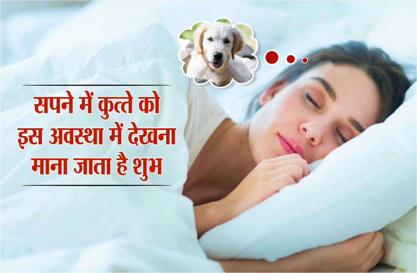 सपने में कुत्ते को इस अवस्था में देखना माना जाता है शुभ, देता है ये संकेत