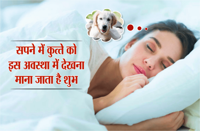 सपने में कुत्ते को इस अवस्था में देखना माना जाता है शुभ, देता है ये संकेत