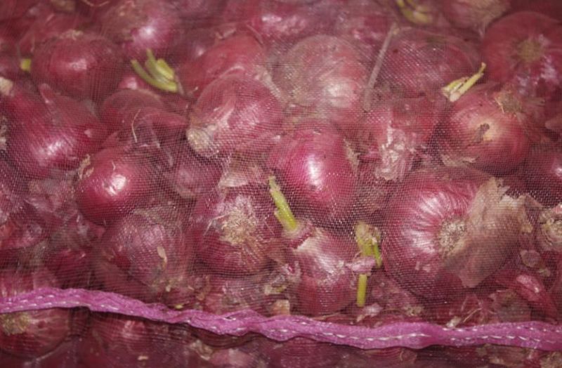 Onions century : इन्द्रदेव ने निकाले सबके आंसू, प्याज ने खाया भाव, मारा सैकड़ा