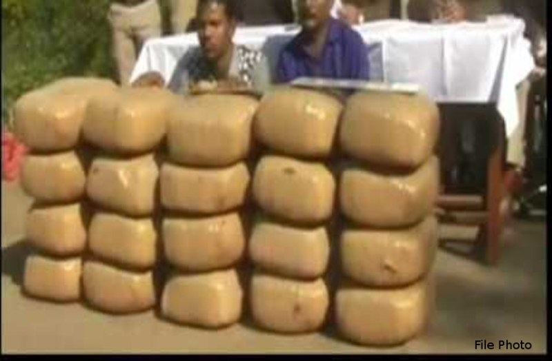 पुलिस ने 5 लाख 79 हजार के गांजे के साथ होंडा सिटी कार से चार लोगों को किया गिरफ्तार।