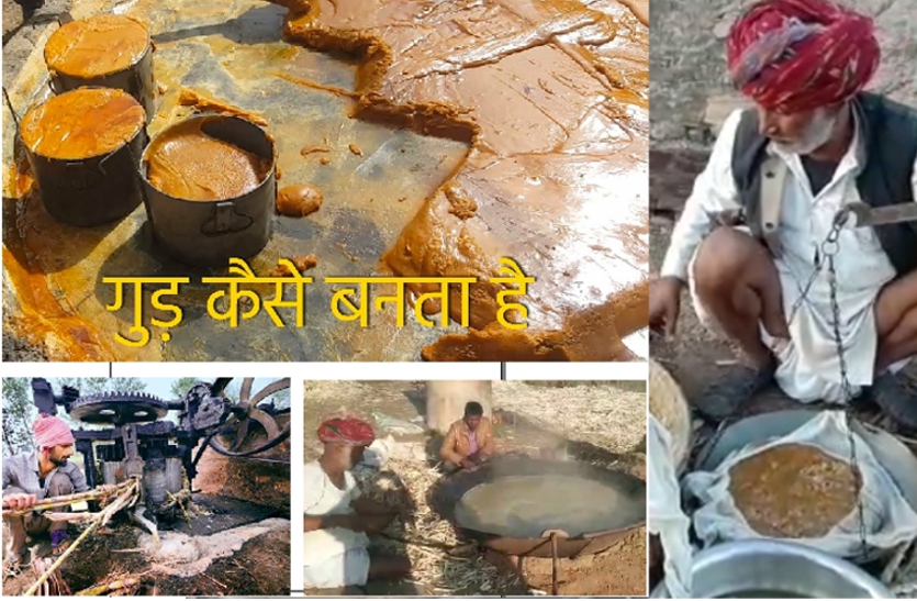 LIVE VIDEO में देखिए, गन्ने के रस से कैसे तैयार होता है स्वादिष्ठ गुड़, जानिए गुड़ बनने तक की पूरी प्रक्रिया