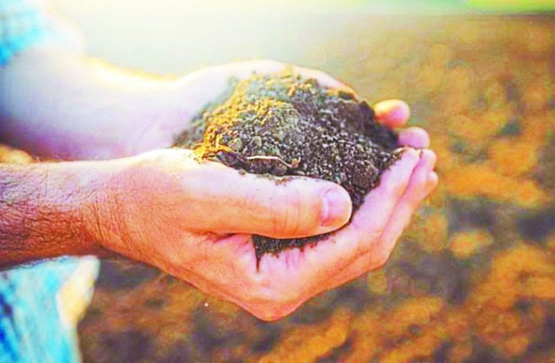 Soil getting sick, decreasing yield