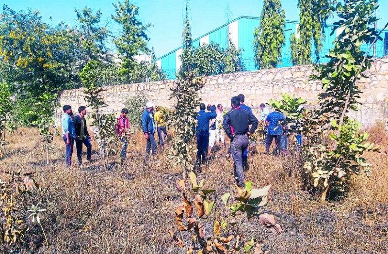 Pollution In Bhiwadi : More Than 200 Plants Burnt In Bhiwadi