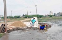 Is there any grain coming out of this drain in your house