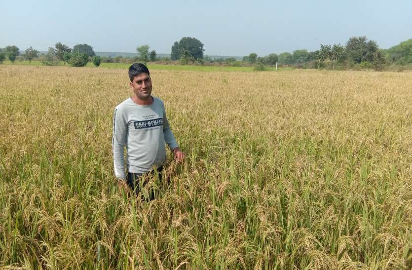 Young farmer doing better farming