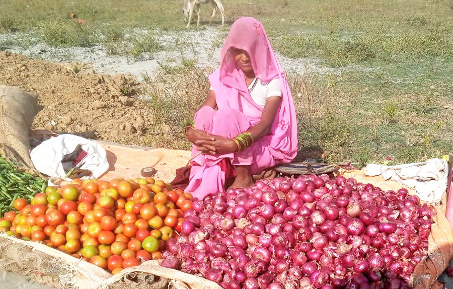 Onion prices in Singrauli exceed Rs 150, no action on illegal storage