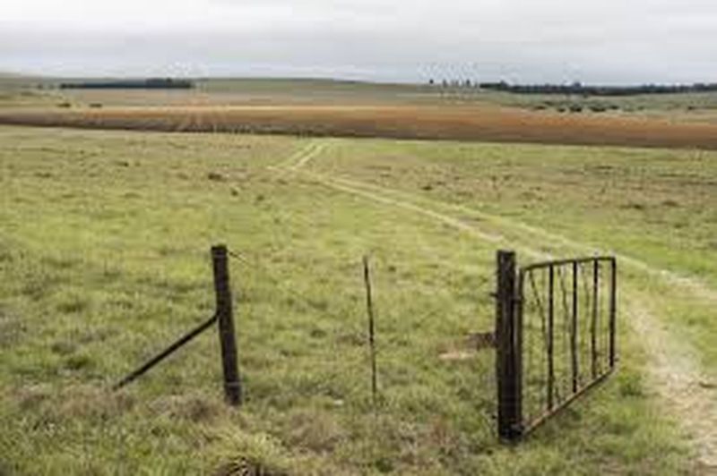 जमीनों की 'कुण्डली' पर कुण्डली मार बैठा राजस्व विभाग