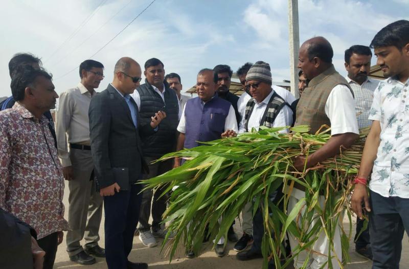 Now every other day collector will take a report of Nandi Goshala