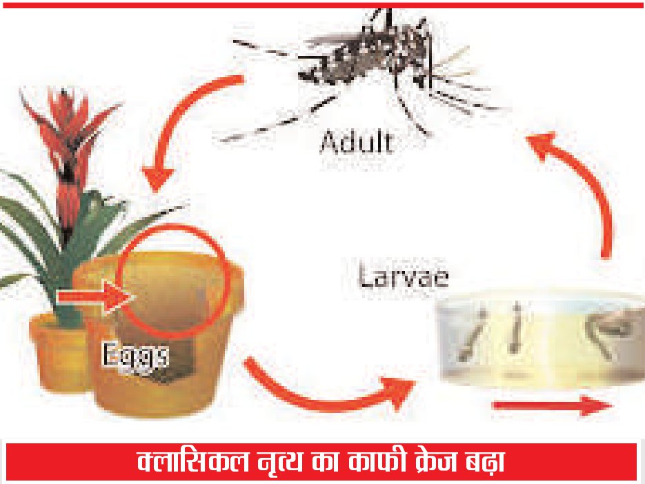 डेंगू का पूरी तरह खात्मा मुश्किल : मलेरिया अधिकारी
