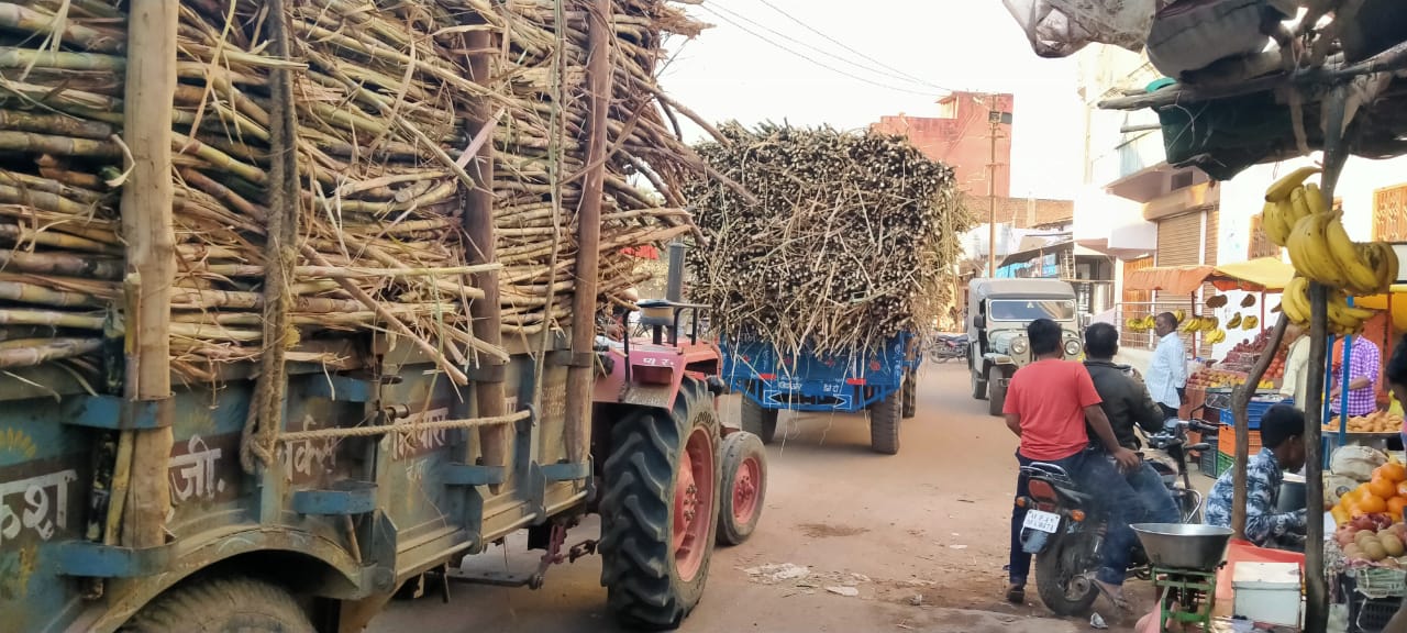 Sugarcane-filled trolleys passing through the middle market, there is a possibility of accident