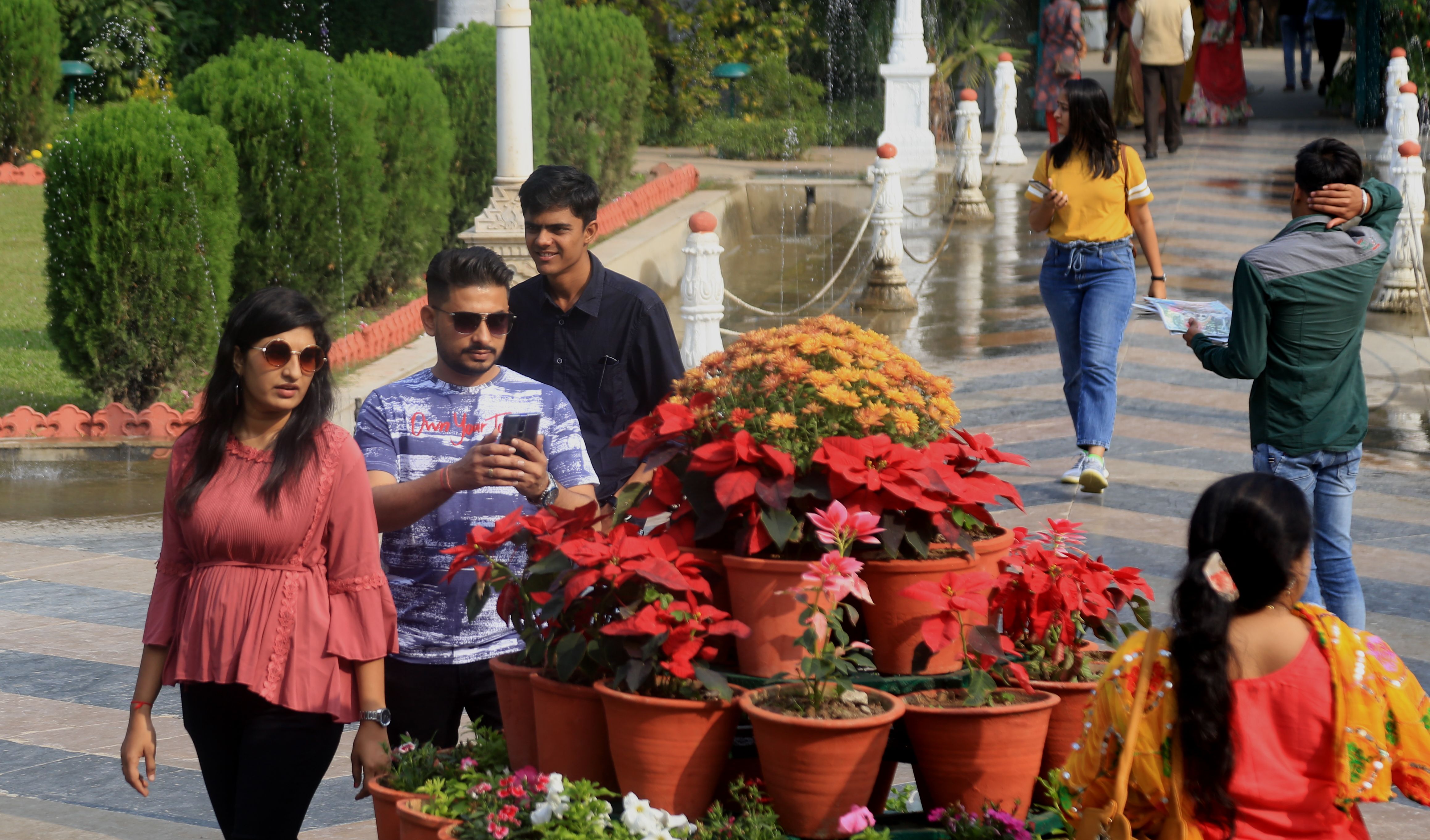विंटर फ्लावर डे आज : घरों में ही नहीं होटलों में भी महक रहे फूल रंग-बिरंगे फूलों से महक रहे घर-बार, शादियों में भी बढ़ा रहे शोभा