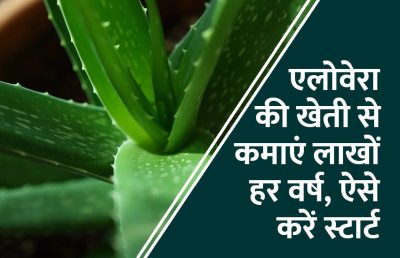 Short video poster image