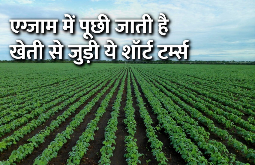 Education, interview, exam, online test, rojgar samachar, interview tips, online exam, Mock Test, general knowledge, GK, interview questions, jobs in hindi, rojgar, competition exam, mock test paper, sarkari job, questions Answers, GK mock test, Exam Guide, General Science Questions, Questions and answers, common general knowledge questions and answers, common general knowledge questions and answers, GK, short terms