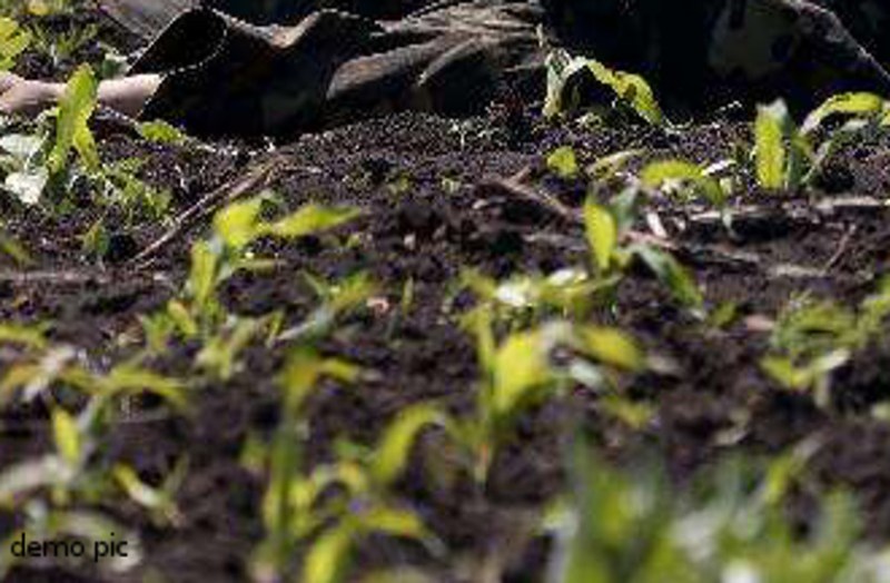 दस दिन बाद खेत में इस हाल में मिली महिला की लाश, हत्या की आशंका