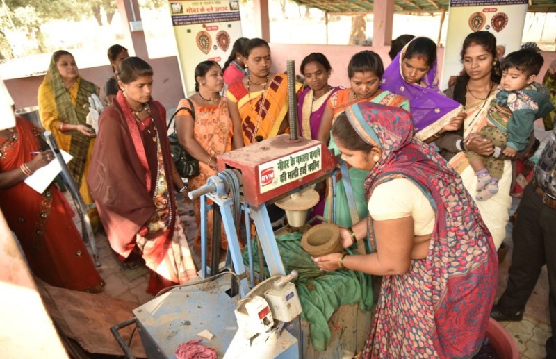 गोबर के गमलों से बढ़ेगी अब घरों की सुन्दरता