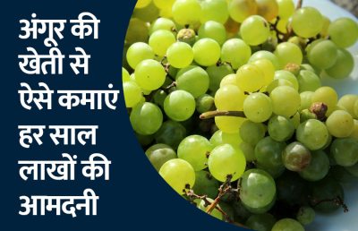 Short video poster image