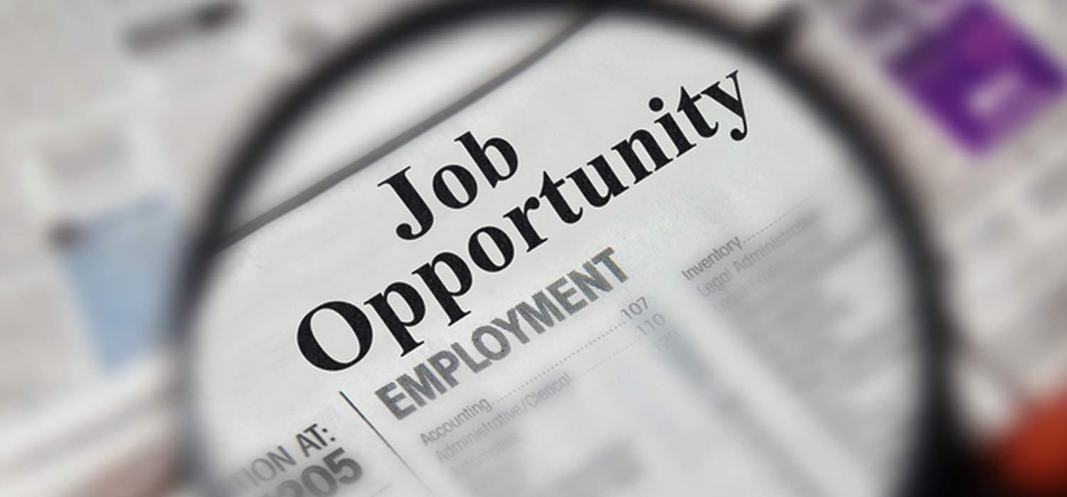 Good news about employment, jobs will come in these sector in 6 months