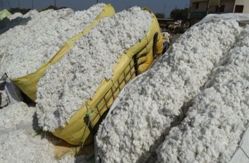 cotton-farmers-cultivation-production-farming