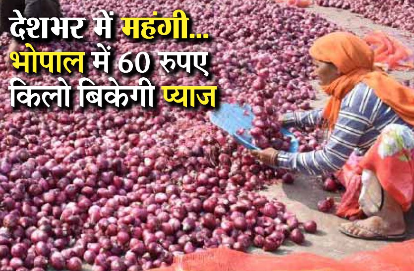 Onions will be sold for 60 rupees in bhopal